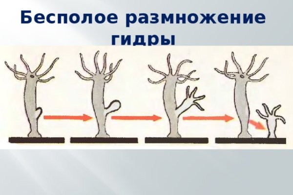 Кракен ссылка оригинал
