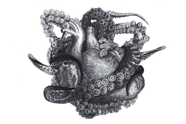 Ссылка на kraken торговая площадка
