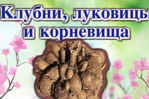 Кракен тор krakendark krakendark link