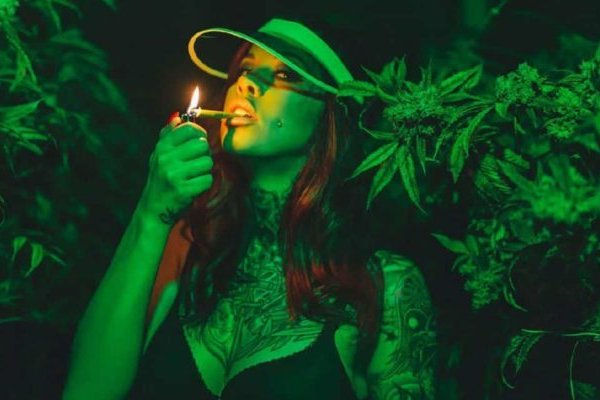 2krn cc официальный