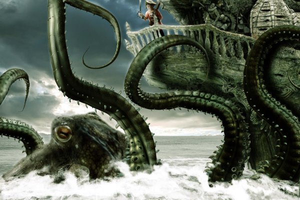 Kraken маркет whitenet только через tor