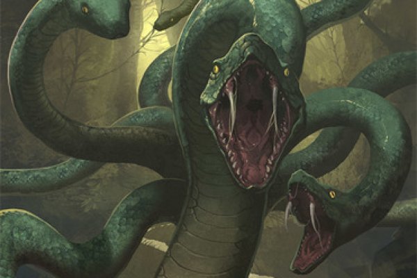 Kraken whitenet ссылка тор