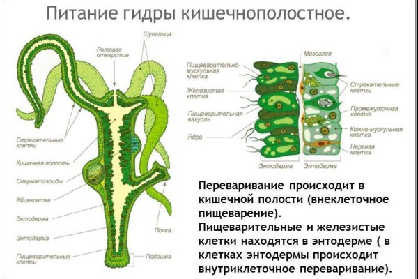 Кракен маркетплейс вход
