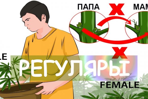 Кракен ссылка pw