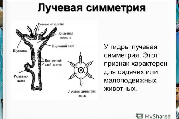 Кракен супернет зайти